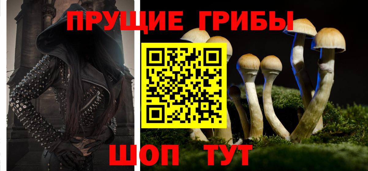 Галлюциногенные грибы GOLDEN TEACHER Россия